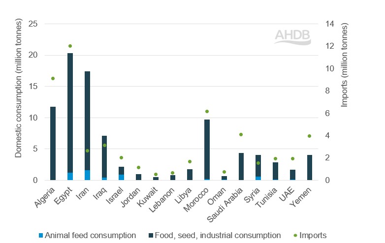 Stacked bar graph showing wheat consumption and imports in selected MENA countries
